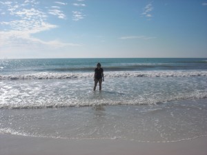 Manatee_Beach1 Manatee_Beach1