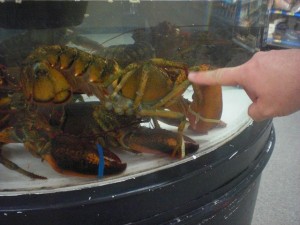 Hummer im Walmart Hummer im Walmart