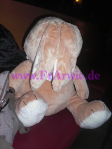Besoffener Hase Besoffener Hase