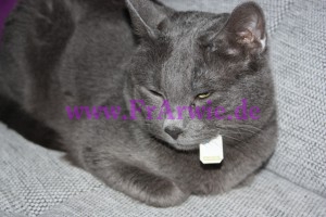 Silver im Tee